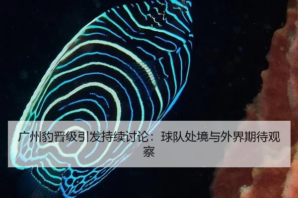 广州豹晋级引发持续讨论：球队处境与外界期待观察